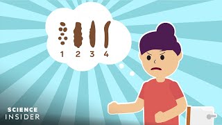 How To Take The Best Poop According To Science [upl. by Xer]