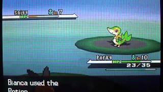 Pokemon Black amp White Walkthrough Part 3 Onward to Striaton [upl. by Heilner]