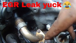 Audi A4 EGR Leaking [upl. by Nisaj]