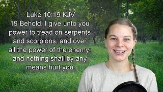 Luke 1019 KJV  Authority amp Power Words of Christ  Scripture Songs [upl. by Hgierb]