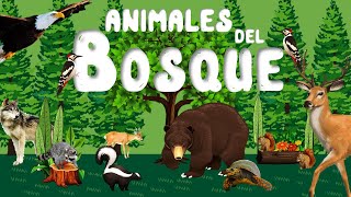 Animales del Bosque para niños  Sonidos de animales  Videos educativos  LeoFunTv [upl. by Daney]