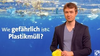 Plastik im Meer  Wie gefährlich ist Plastikmüll [upl. by Aihtenyc]