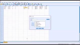 Levels of Measurement in SPSS Nominal Ordinal amp Scale [upl. by Nudnarb]