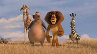 DreamWorks Madagascar  Ready For Take Off  Madagascar Escape 2 Africa Movie Clip [upl. by Apgar]