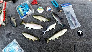 How To Rig Swimbaits The BEST Way Youve NEVER Heard Of [upl. by Laveen]