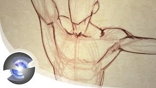 How to Draw the Male Torso from the Front [upl. by Nicolau287]