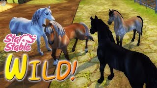 PLAY AS A HORSE Star Stable Online WILD HORSE UPDATE  All my new horses [upl. by Nannoc4]