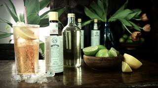 Angostura Lemon Lime Bitters  Quick Serve Method  Drinks Network [upl. by Iret960]