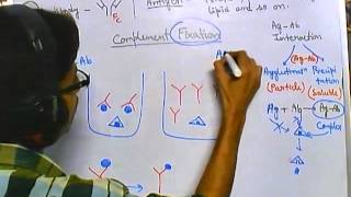 Complement fixation test [upl. by Aizan]