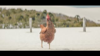 Crossroads  KFC Funny Commercial [upl. by Bik]