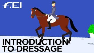 What is Equestrian Dressage These are the rules [upl. by Arraet]