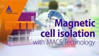 Magnetic cell isolation with MACS Technology [upl. by Naved]