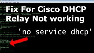 DHCP relay not working Cisco [upl. by Tybi733]