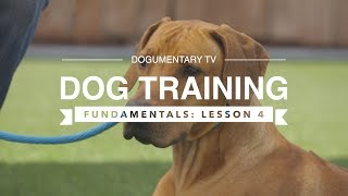 DOG TRAINING FUNDAMENTALS LESSON 4 GOING TO PLACE [upl. by Isyak]