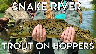 Epic Snake River Hopper Fishing [upl. by Aeila]