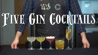 The 5 Easiest GIN Cocktails to Make at Home [upl. by Craddock]