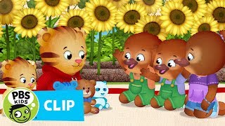 DANIEL TIGERS NEIGHBORHOOD  A Postcard from Mama  PBS KIDS [upl. by Milstone]