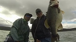 Swimbaits Retrieves How to Fish a Huddleston Swimbait [upl. by Munson]