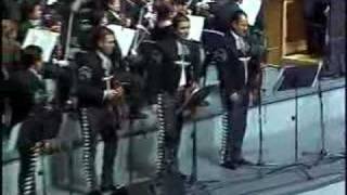 MARIACHI VARGAS DE TECALITLAN POPURRI VERACRUZANO [upl. by Epoillac]