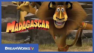 Madagascar  Madagaskar  Official Trailer HD [upl. by Analle]