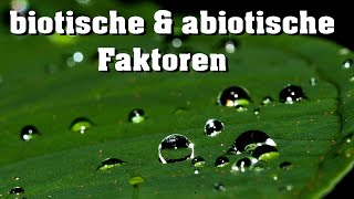 Ökologie abiotische amp biotische Faktoren [upl. by Els]