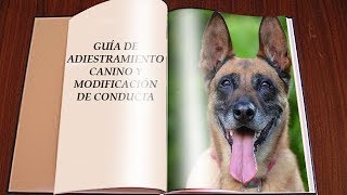 Guía básica de adiestramiento canino y modificación de conducta de perros [upl. by Cave]