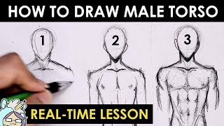 How To Draw Male Torso Three Different Ways [upl. by Bonney]