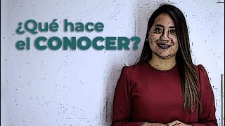 ¿QUÉ HACE EL CONOCER [upl. by Fry]