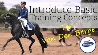 Dressage Beginners Guide [upl. by Svoboda]