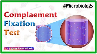 Complement Fixation test  Microbiology animations [upl. by Birdt]