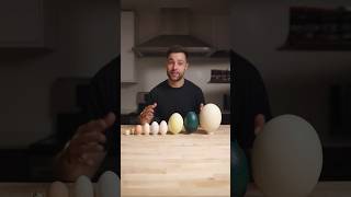 I Cooked the World’s CRAZIEST Eggs [upl. by Falo]