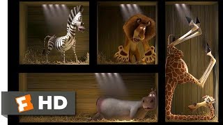 DreamWorks Madagascar  Who is Who 🦓  Madagascar Escape 2 Africa Movie [upl. by Targett267]