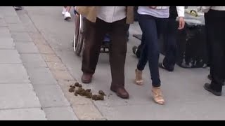 Man Steps In Horse Poop in Montreal  Abdul Butt [upl. by Dnomsad627]